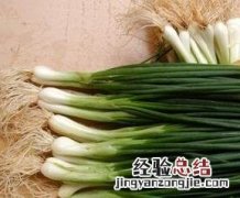 怎么区别香葱和小葱的好坏 怎么区别香葱和小葱