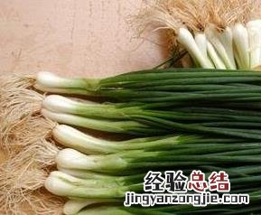 怎么区别香葱和小葱的好坏 怎么区别香葱和小葱