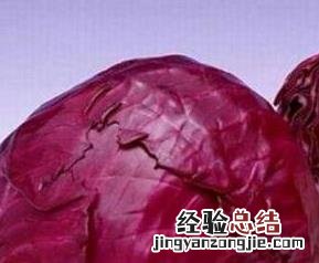 紫椰菜的营养价值 紫椰菜有什么营养