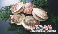 扇贝蒸粉丝做法教程 如何做扇贝蒸粉丝