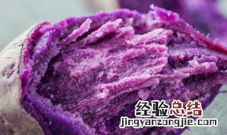 紫薯什么时候种合适 紫薯什么时候种最合适