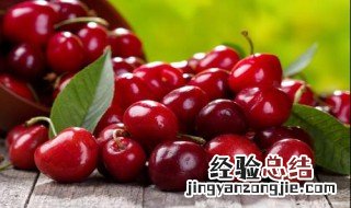 樱桃的营养价值及功效与作用禁忌 樱桃的营养价值