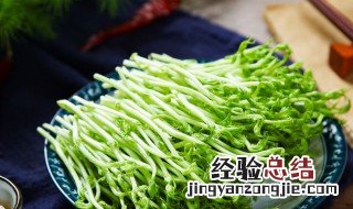 黄豆芽和绿豆芽的营养价值 绿豆芽的营养价值