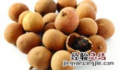 桂圆的营养价值是什么 桂圆的营养价值