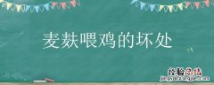 麦麸子喂鸡有营养吗 麦麸喂鸡的坏处