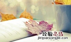 文案短句子温柔干净 努力文案短句温柔干净