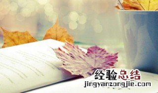 文案短句子温柔干净 努力文案短句温柔干净