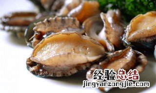 鲍鱼的营养价值 鲍鱼的营养价值及功效与作用