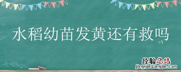 水稻秧苗发黄 水稻幼苗发黄还有救吗