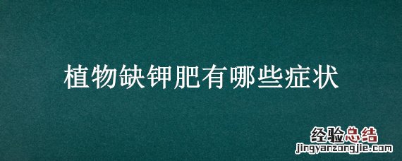 植物缺钾用什么肥料 植物缺钾肥有哪些症状
