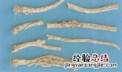 防风是什么功效与作用 防风的功效与作用有哪些