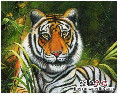 86属虎什么颜色最吉利 属虎什么颜色最吉利