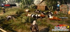 《巫师3：狂猎》新手村剥奶牛皮赚钱方法攻略