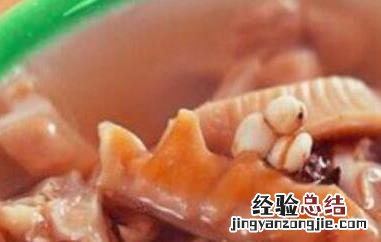 猪脬是什么东西图片 猪脬是什么