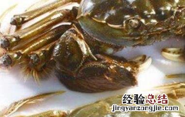 活螃蟹怎么保存过夜 活螃蟹怎么保存