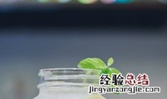 茉莉和薄荷一起种可以吗 茉莉与薄荷