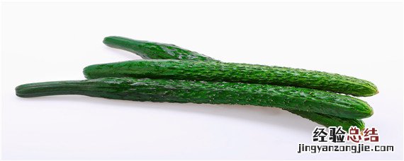 买的黄瓜种子催芽方法 黄瓜种子催芽方法五种方法