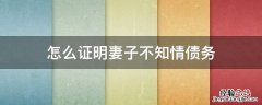 丈夫的债务妻子不知情 怎么证明妻子不知情债务
