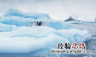 南极地区到底是多少平方公里 南极比北极还冷吗