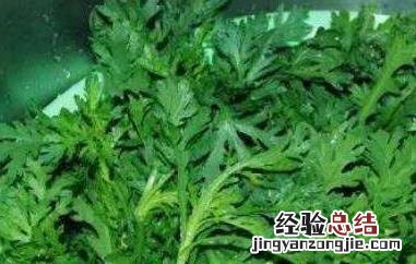 雪里蕻是什么菜腌的 雪里蕻是什么菜