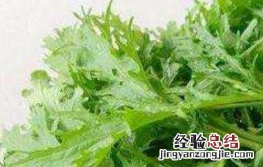 雪里蕻是什么菜腌的 雪里蕻是什么菜