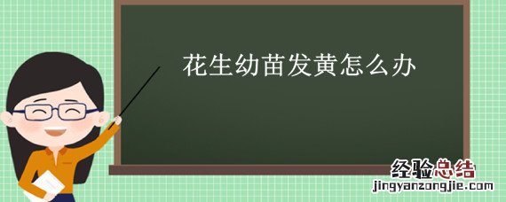 花生苗发黄怎么回事 花生幼苗发黄怎么办