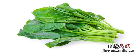 菠菜种子冰箱催芽方法 菠菜种子冷冻催芽