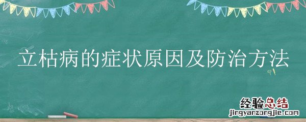 西瓜立枯病的症状原因及防治方法 立枯病的症状原因及防治方法