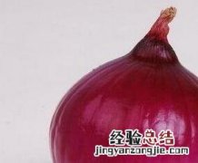 圆葱与洋葱有区别吗 圆葱与洋葱有区别吗