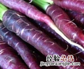 紫色胡萝卜的营养价值
