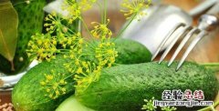 真菌性肠炎 真菌性肠炎怎么治疗