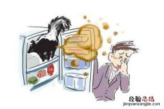 冰箱味道大，试试冰箱除味剂，10分钟祛除异味