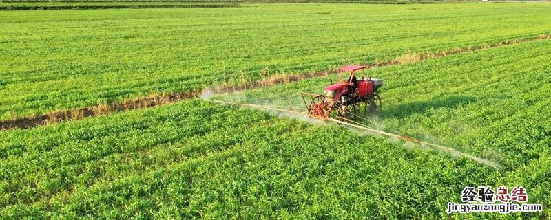大豆田苗后除草剂最佳配方,什么时候喷洒效果好