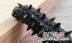 新鲜海参的做法 新鲜海参怎么做