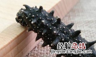新鲜海参的做法 新鲜海参怎么做