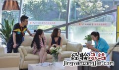 柴海青沈梅是什么电视剧 电视剧的剧情是什么