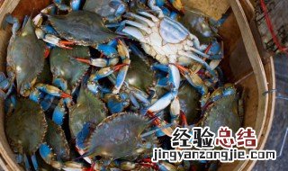 梭子蟹豆腐煲做法 怎样做梭子蟹豆腐煲