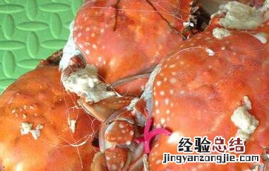 螃蟹怎么吃什么部位不能吃 螃蟹怎么吃
