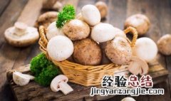 蘑菇有哪些营养价值,说一说 蘑菇有哪些营养价值