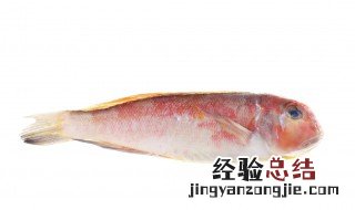 方头鱼是马头鱼吗 方头鱼是什么鱼