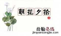 朝花夕拾中提到衍太太的几件事 朝花夕拾中衍太太是怎么样的人