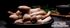 鸡枞菌种子怎么种 鸡枞菌种子怎么种植
