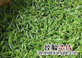 常喝毛尖茶的好处和坏处是什么 常喝毛尖茶的好处和坏处