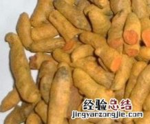 吃黄姜的好处和壞處正常吃多少为宜 吃黄姜的好处和壞處