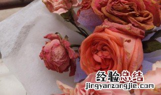 怎么把花保存的更久 怎样能把花永久的保存下来