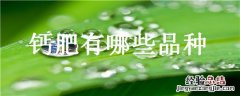 钙肥有哪些品种 常用的钙肥