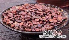 炒红枣仁的功效与作用 炒枣仁有补血的功效吗