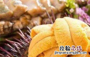 活海胆怎么保存过夜 活海胆怎么保存
