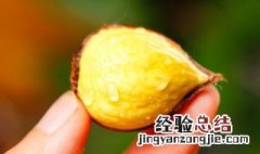 板栗可以放微波炉里面吗 板栗可以放微波炉吗