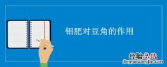 豆角需要钼肥吗 钼肥对豆角的作用